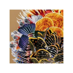 KARE Design Affiche Encadrée Femme Coraux Poissons 120x120cm ^ Tableau