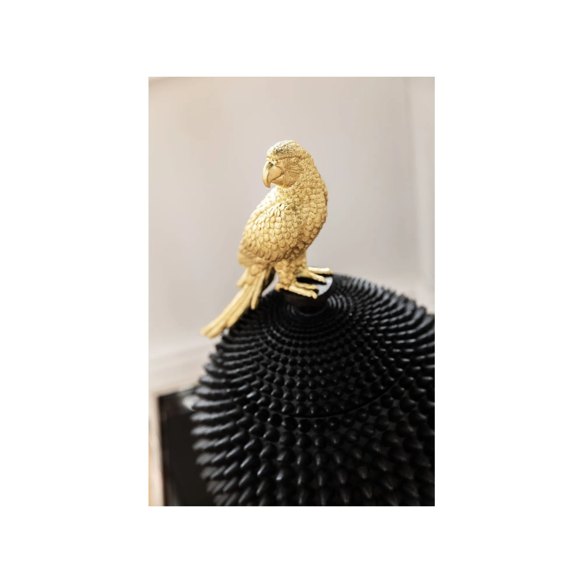 KARE Design Boîte Perroquet ^ Boîte