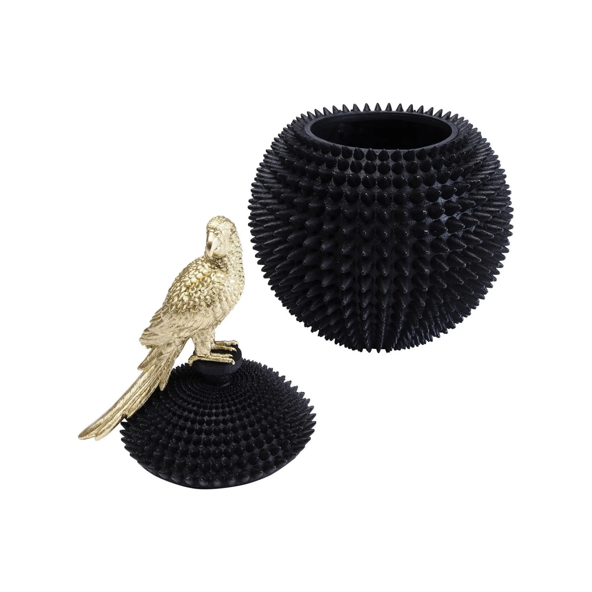 KARE Design Boîte Perroquet ^ Boîte