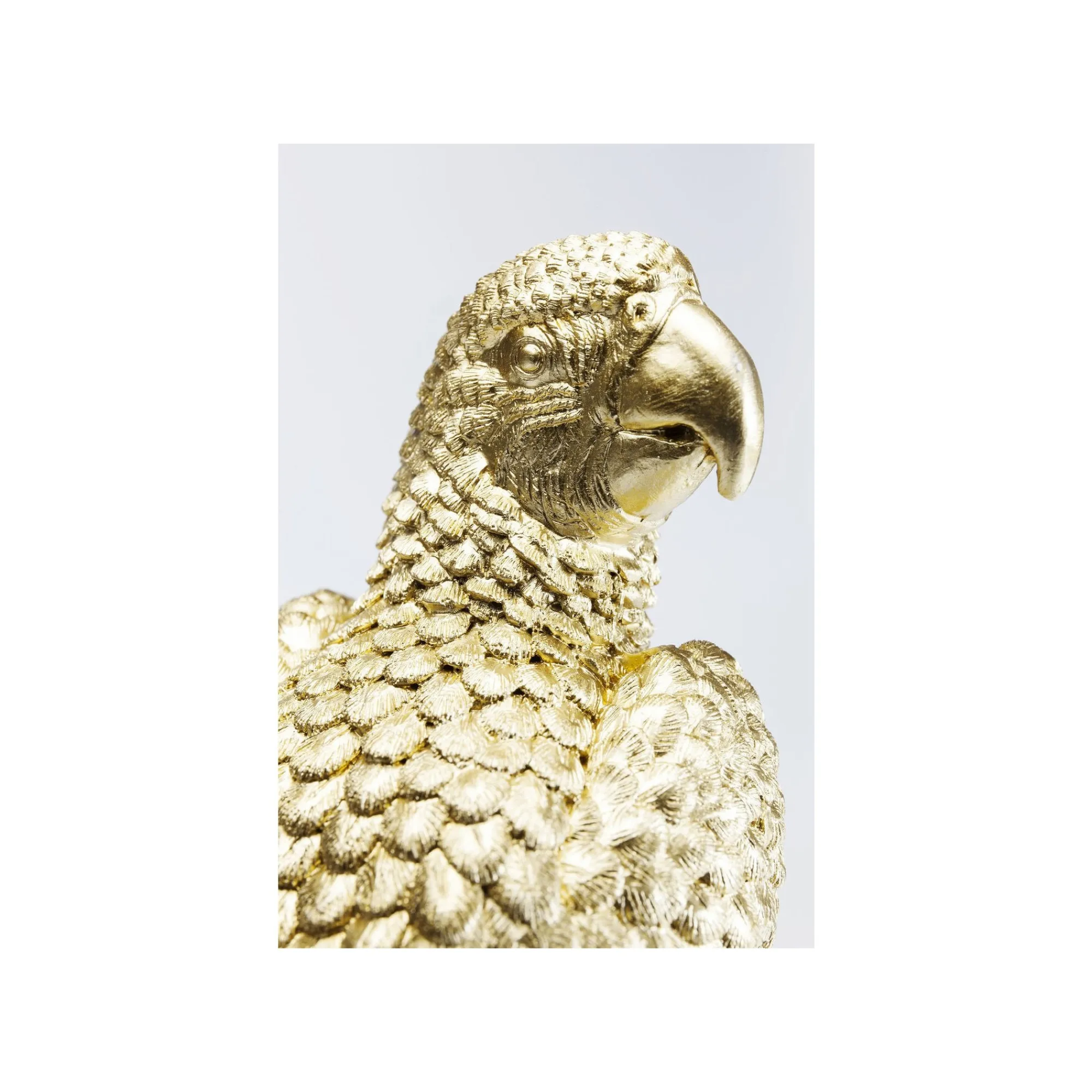 KARE Design Boîte Perroquet ^ Boîte