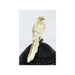 KARE Design Boîte Perroquet ^ Boîte
