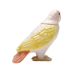 KARE Design Boîte Perroquet Rose Et Jaune ^ Boîte