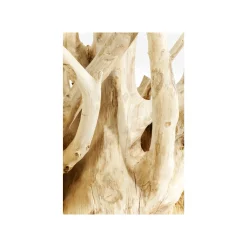 KARE Design Console Roots 150x45cm ^ Console