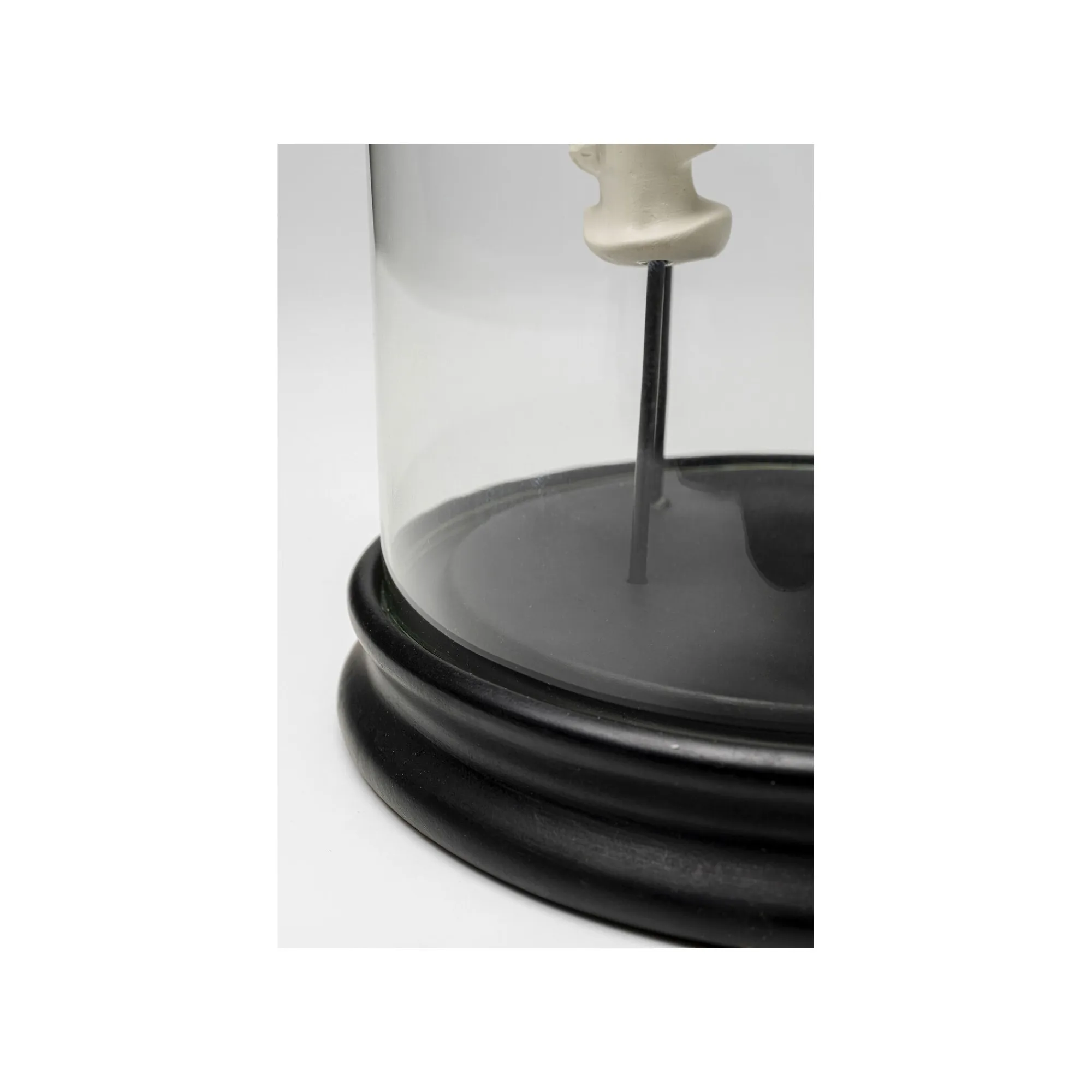 KARE Design Déco Bustes Sous Cloche ^ Déco