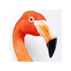 KARE Design Déco Murale Flamant Rose 72cm ^ Déco Murale