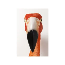 KARE Design Déco Murale Flamant Rose 72cm ^ Déco Murale