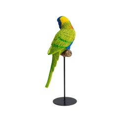 KARE Design Déco Perroquet Vert ^ Déco