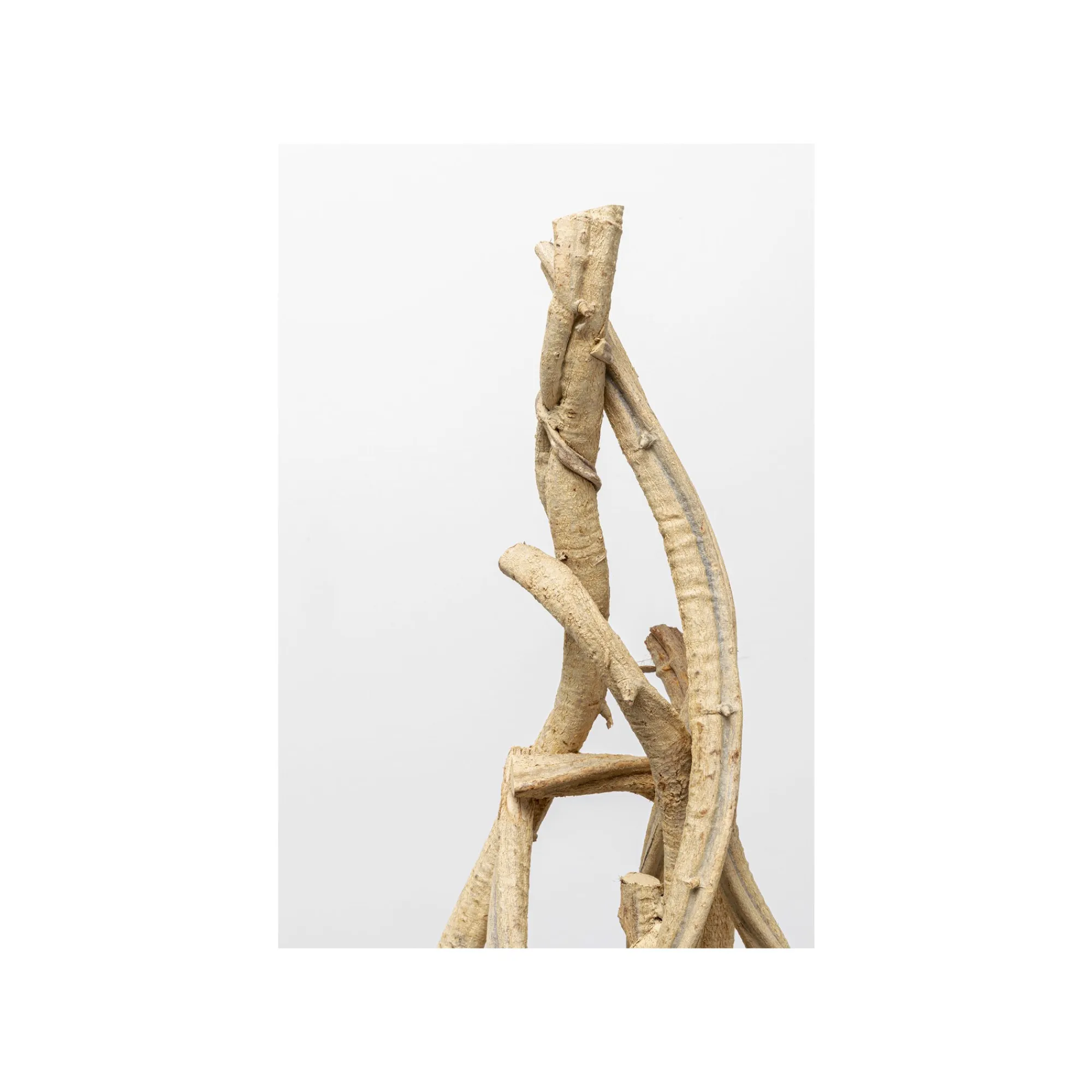 KARE Design Lampadaire Jungle Club 150cm ^ Lampadaire