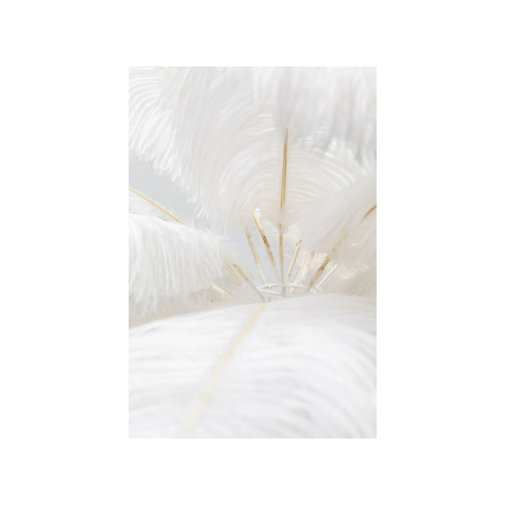 KARE Design Lampe Plumes Blanches ^ Lampe De Table
