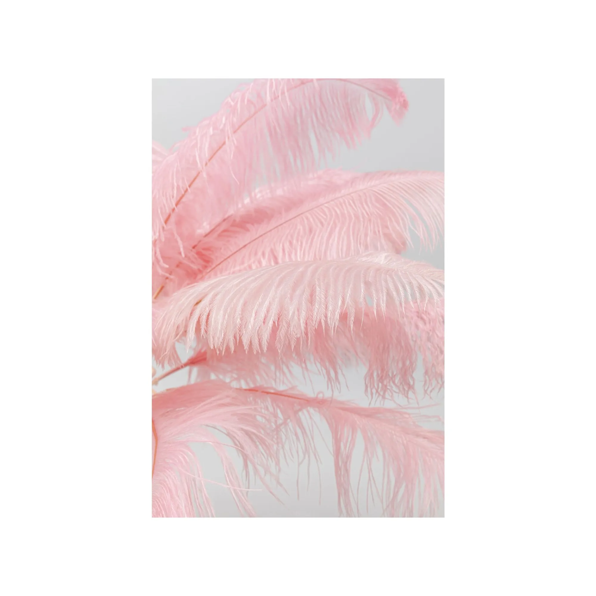 KARE Design Lampe Plumes Roses ^ Lampe De Table