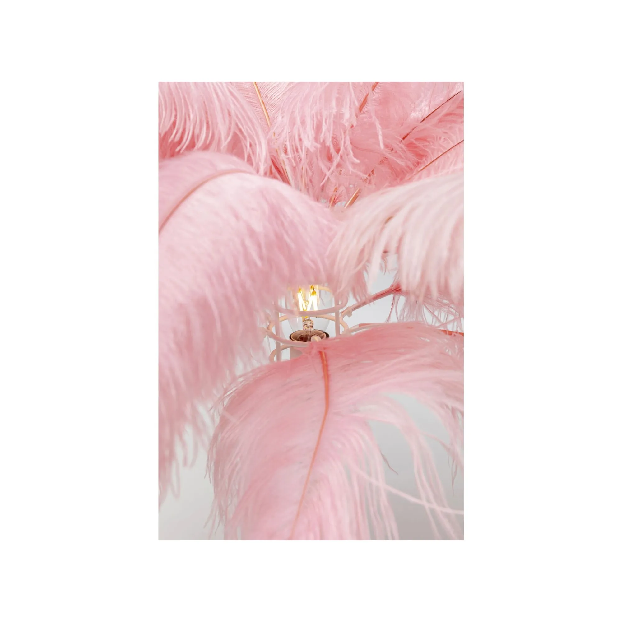 KARE Design Lampe Plumes Roses ^ Lampe De Table