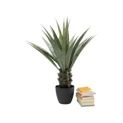 KARE Design Plante Décorative Agave 85cm ^ Plante Décorative