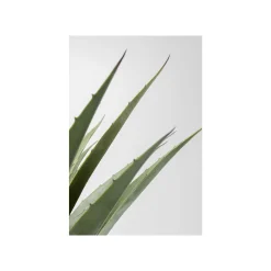 KARE Design Plante Décorative Agave 85cm ^ Plante Décorative