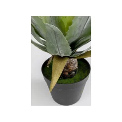 KARE Design Plante Décorative Agave 40cm ^ Plante Décorative