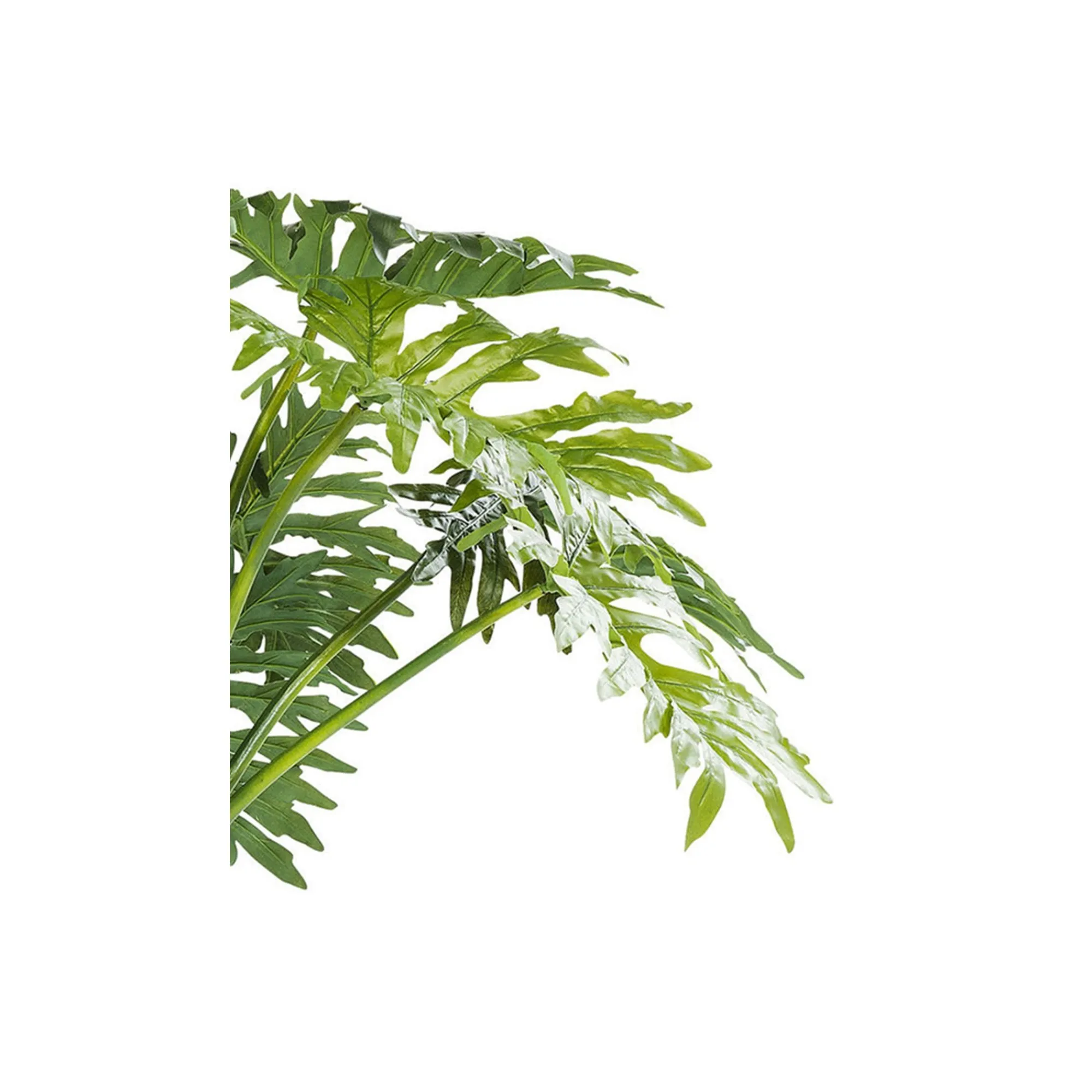 KARE Design Plante Décorative Big Monstera 175cm ^ Plante Décorative