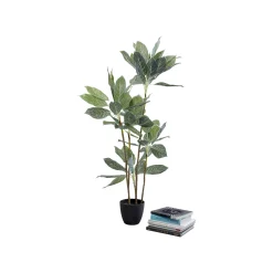 KARE Design Plante Décorative Calathea 140cm ^ Plante Décorative