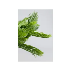 KARE Design Plante Décorative Cycas 70cm ^ Plante Décorative