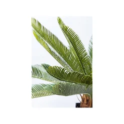 KARE Design Plante Décorative Cycas 78cm ^ Plante Décorative