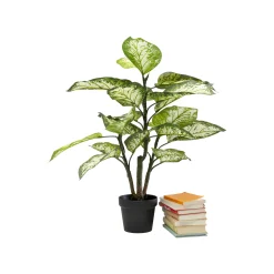 KARE Design Plante Décorative Dieffenbachia 100cm ^ Plante Décorative