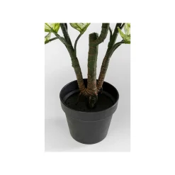 KARE Design Plante Décorative Dieffenbachia 100cm ^ Plante Décorative