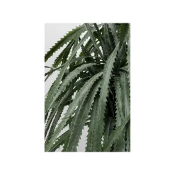 KARE Design Plante Décorative Dracaena 155cm ^ Plante Décorative