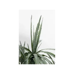 KARE Design Plante Décorative Dracaena 155cm ^ Plante Décorative