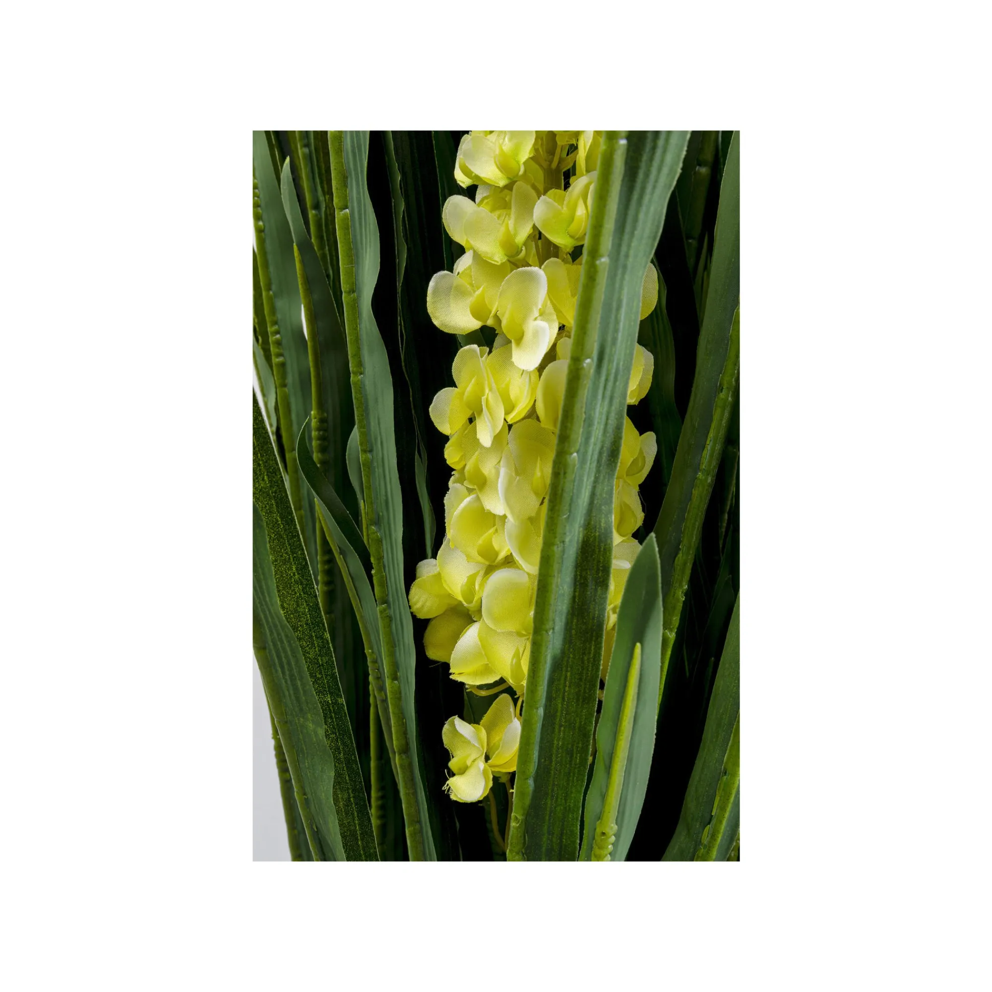 KARE Design Plante Décorative Rhynchostylis 150cm ^ Plante Décorative