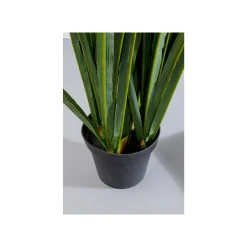 KARE Design Plante Décorative Rhynchostylis 150cm ^ Plante Décorative