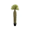 KARE Design Plante Décorative Yucca 180cm ^ Plante Décorative