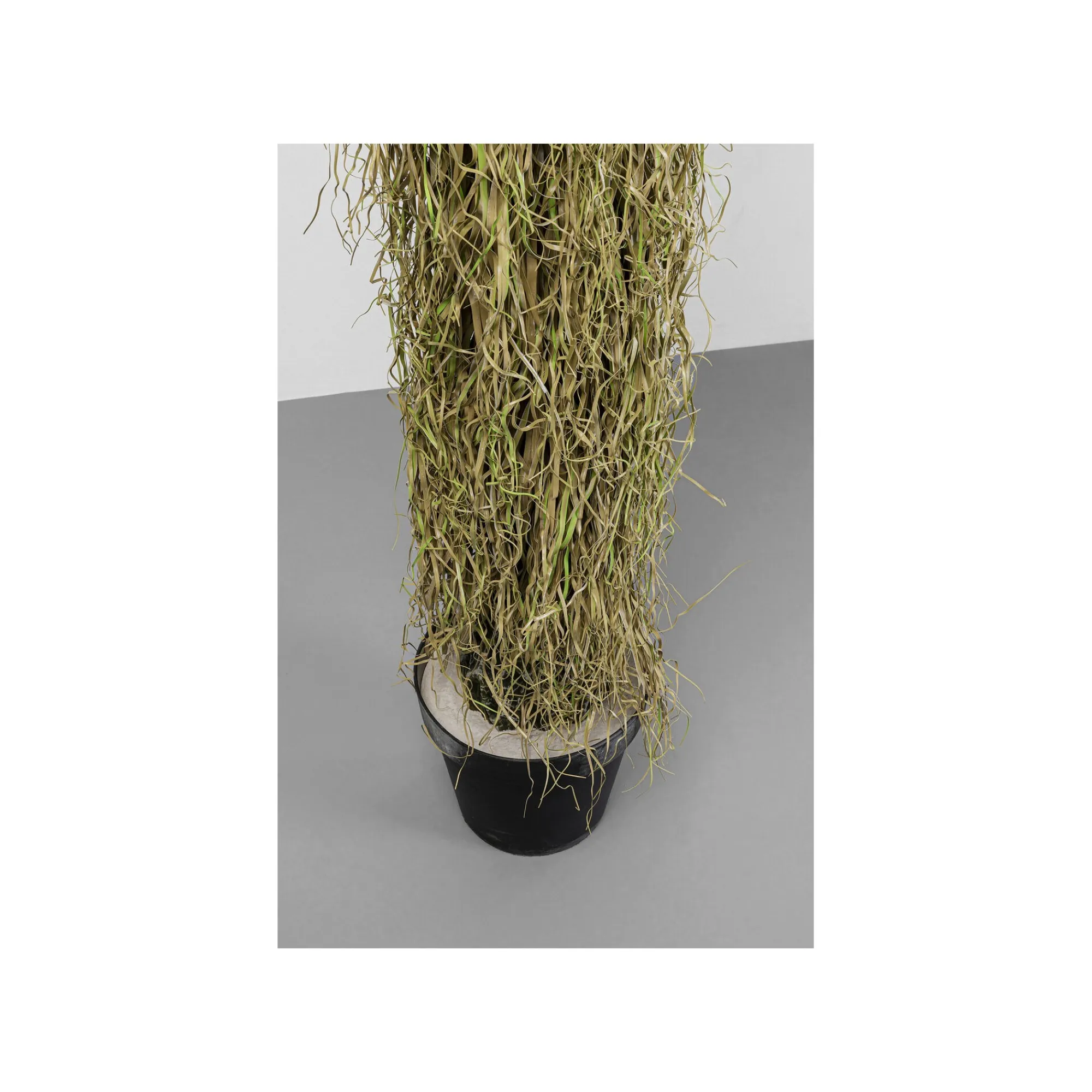 KARE Design Plante Décorative Yucca 180cm ^ Plante Décorative