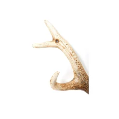 KARE Design Portemanteau Mural Bois De Cerf Marron ^ Portemanteau