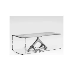 KARE Design Table Roots Foncée 220x100cm ^ Table