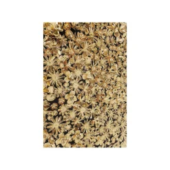 KARE Design Tableau 3D Fleurs Dorées 120x120cm ^ Tableau