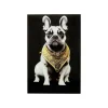 KARE Design Tableau En Verre Bouledogue Collier Doré 40x60cm ^ Tableau