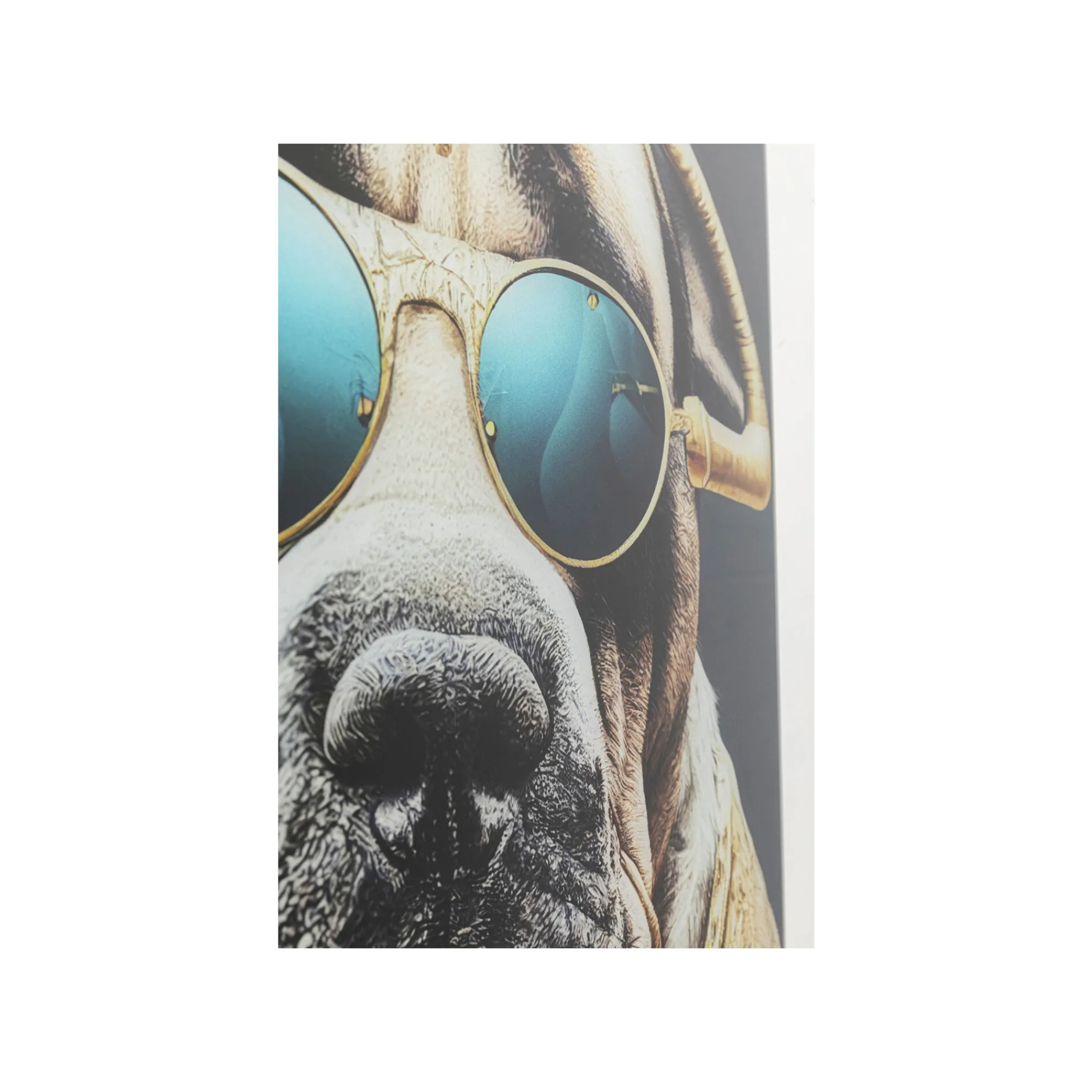 KARE Design Tableau En Verre Chien Lunettes 60x80cm ^ Tableau