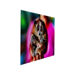 KARE Design Tableau En Verre Loris 120x80cm ^ Tableau