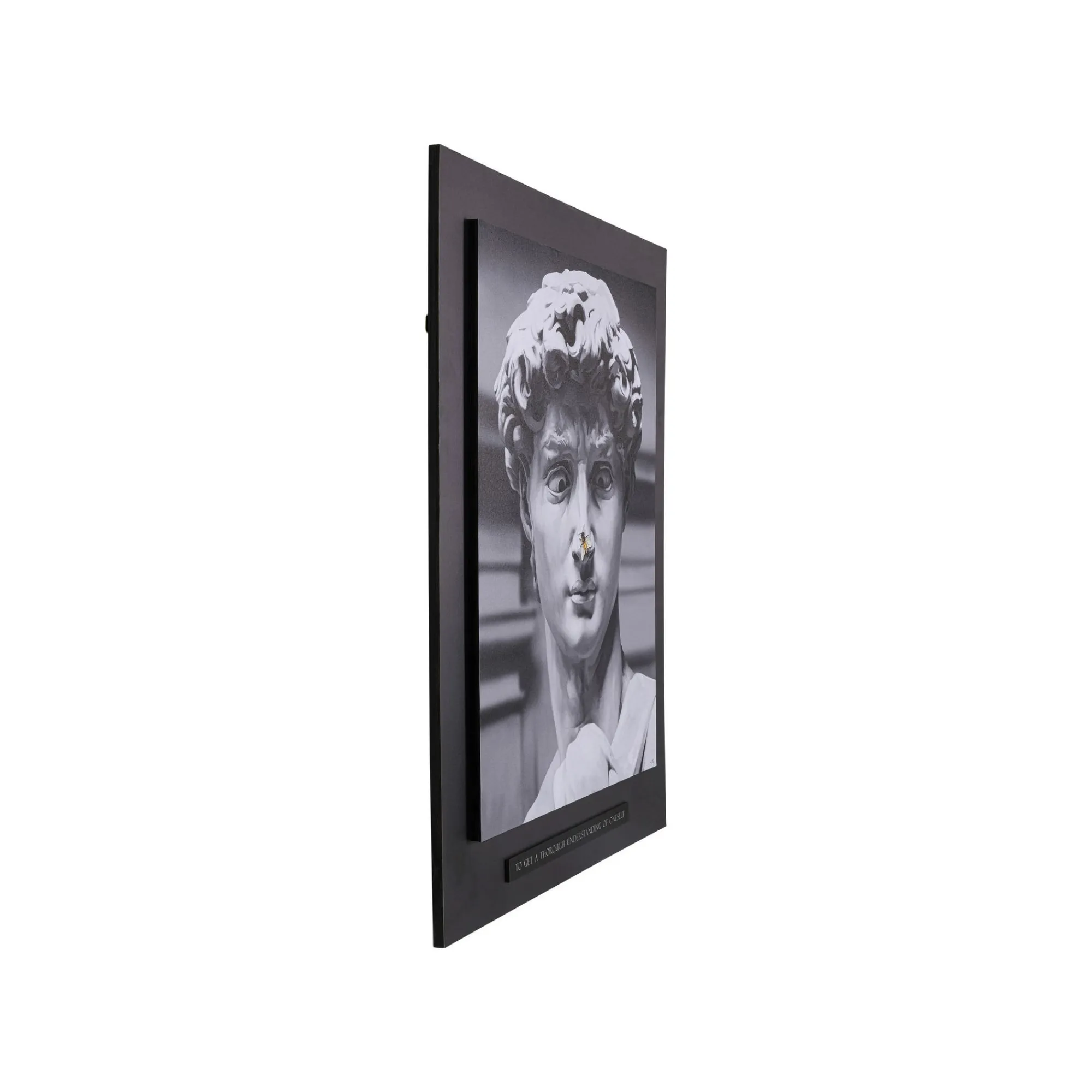 KARE Design Tableau Statue Antique Abeille 100x125cm ^ Tableau