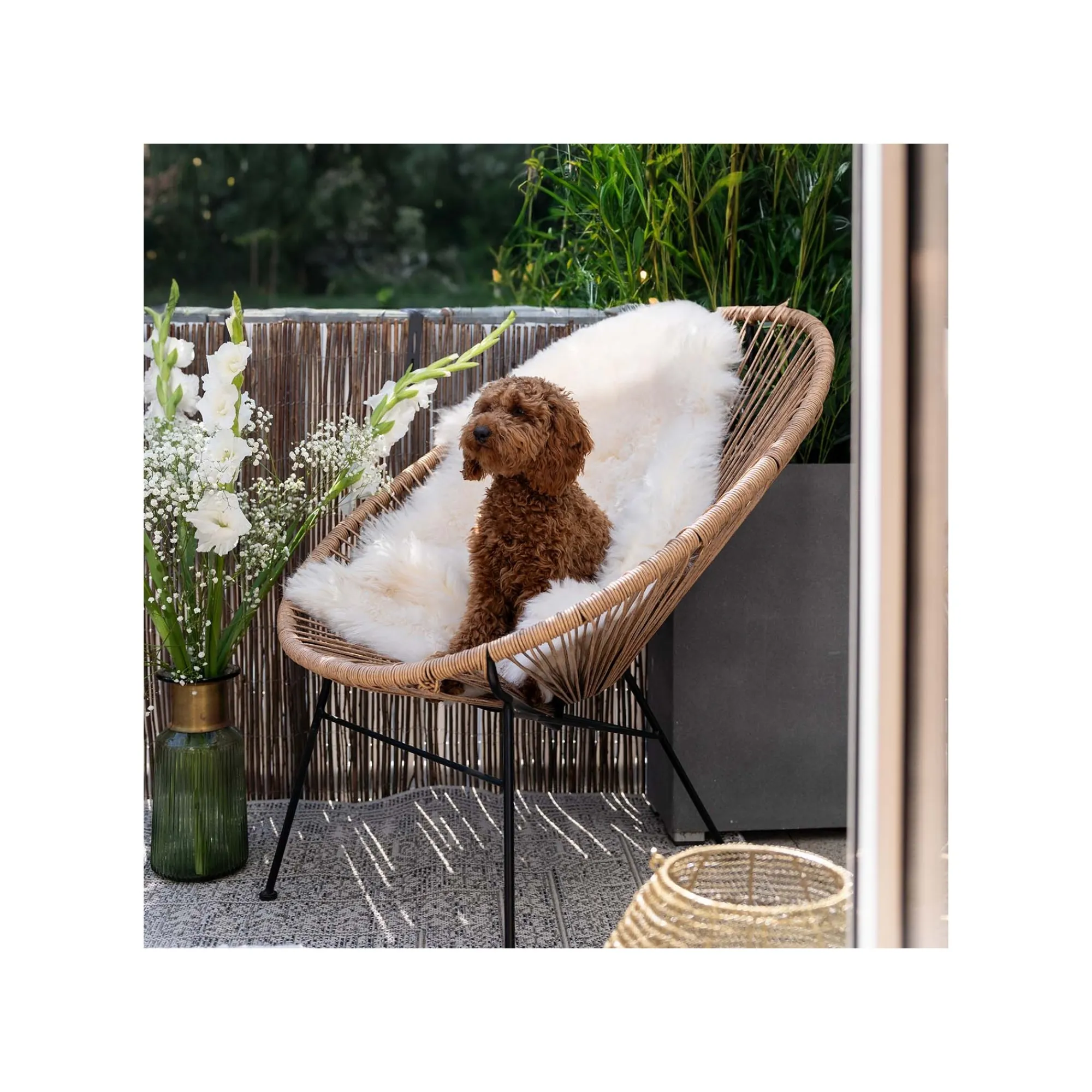 KARE Design Tapis Medaillon 230x160cm ^ Tapis