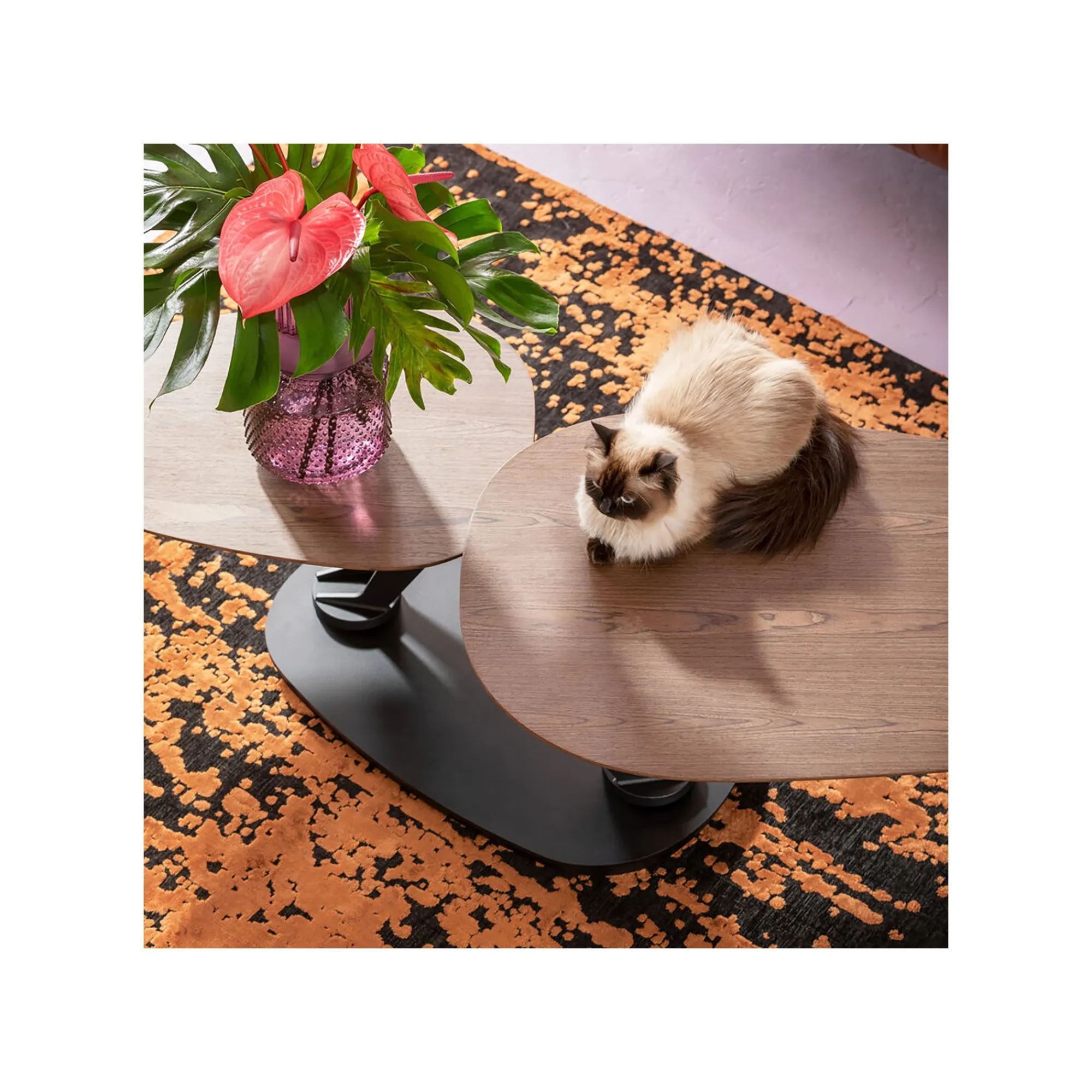 KARE Design Tapis Silja Rouge Et Noir ^ Tapis