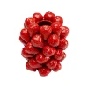 KARE Design Vase Fraises Rouges 24cm ^ Vase